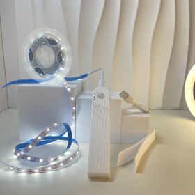 Led Human Body Induction Light With Bed Bottom Atmosphere (Option: Waterproof Light Strip 1 M-White Charging)